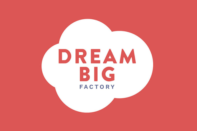 The Dream Big factory - our new project. 